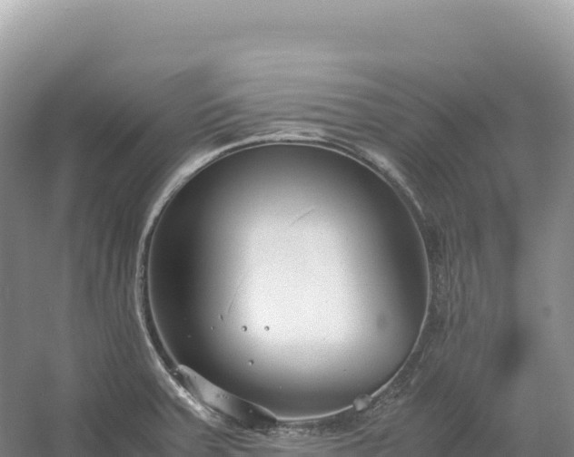 X0000054391379200508051636