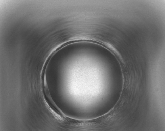 X0000054391380200508051636