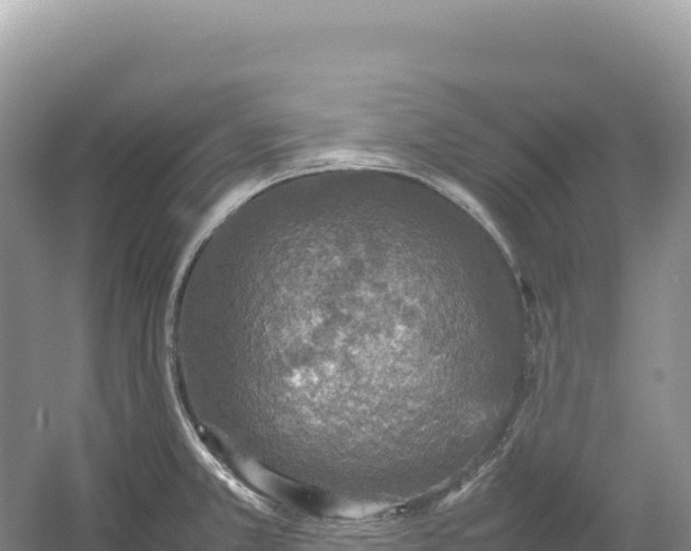 X0000054391381200508051636