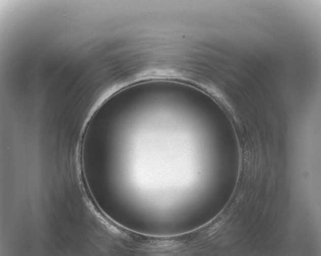 X0000054391382200508051636