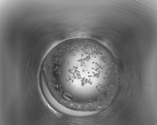 X0000054391383200508051636