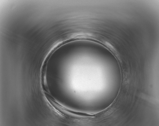 X0000054391384200508051636