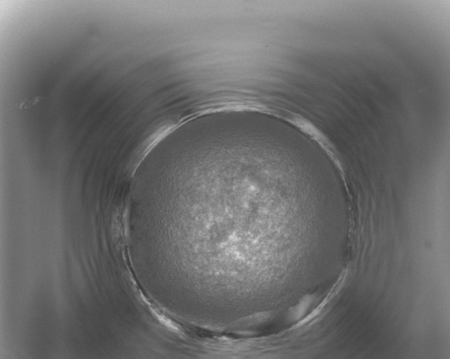 X0000054391385200508051636