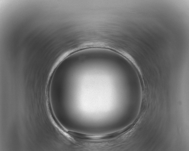 X0000054391389200508051636