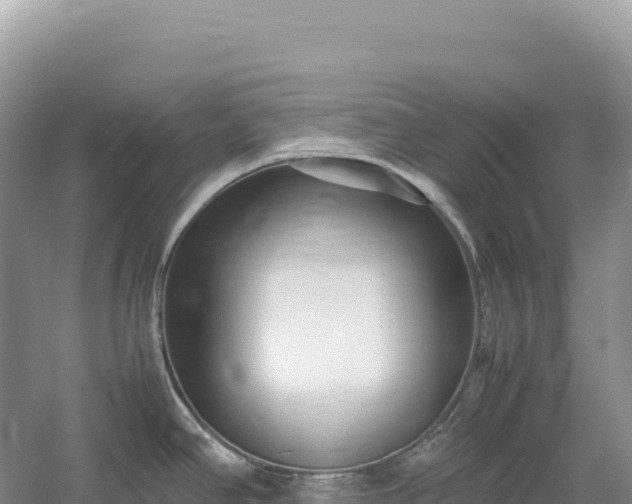 X0000054391390200508051636