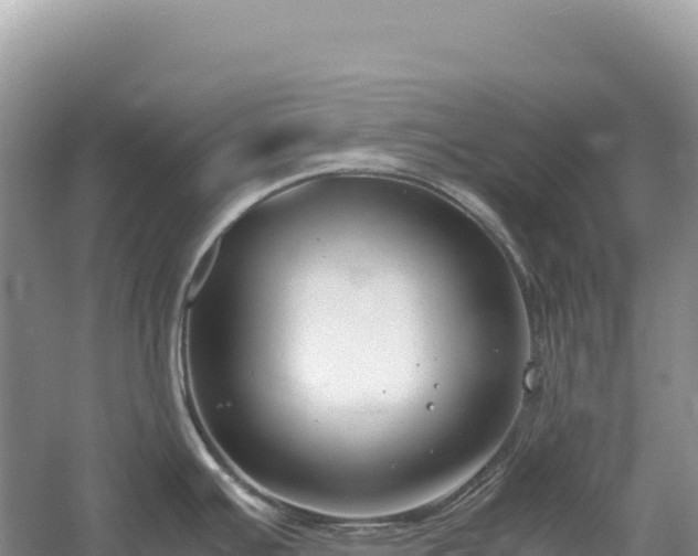 X0000054391391200508051636