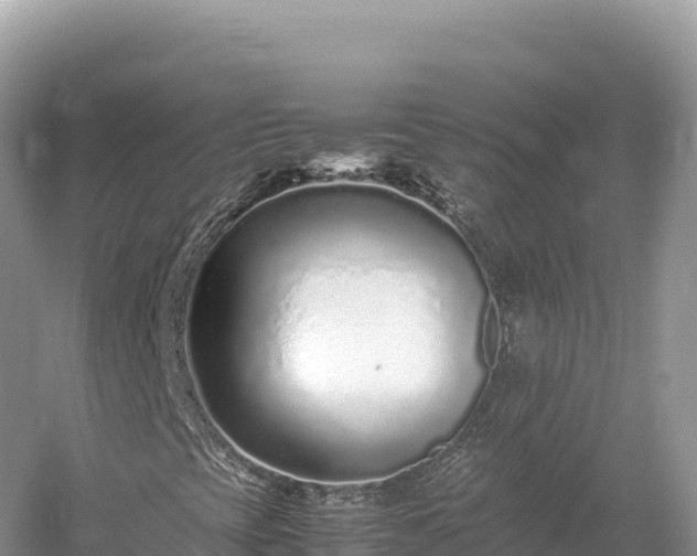 X0000054391393200508051635