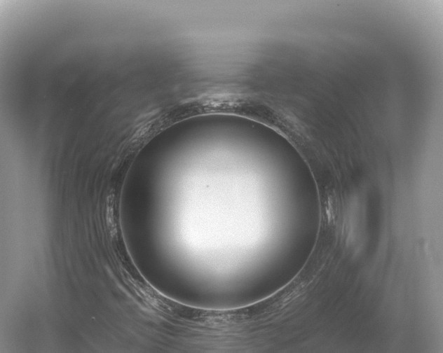 X0000054391396200508051635