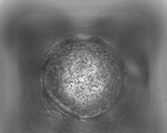 X0000054391397200508051635