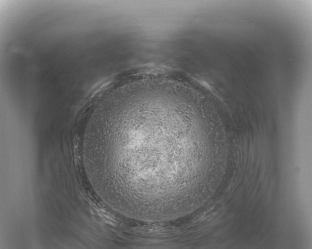 X0000054391399200508051635