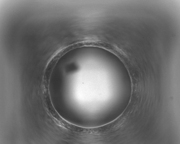 X0000054391400200508051635