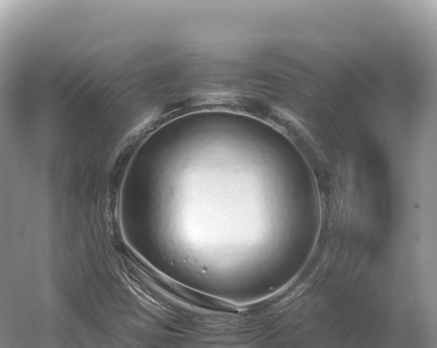 X0000054391403200508051635