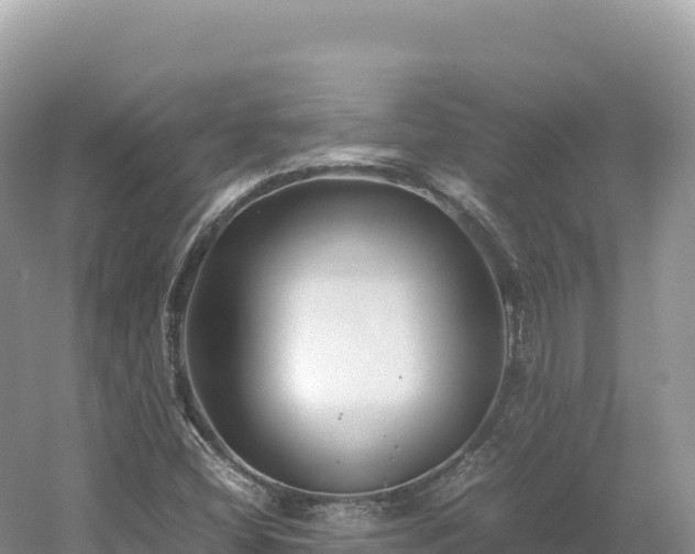 X0000054391404200508051635