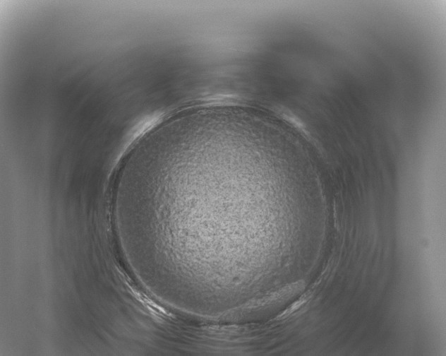 X0000054391405200508051635