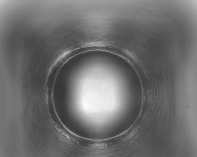 X0000054391406200508051635