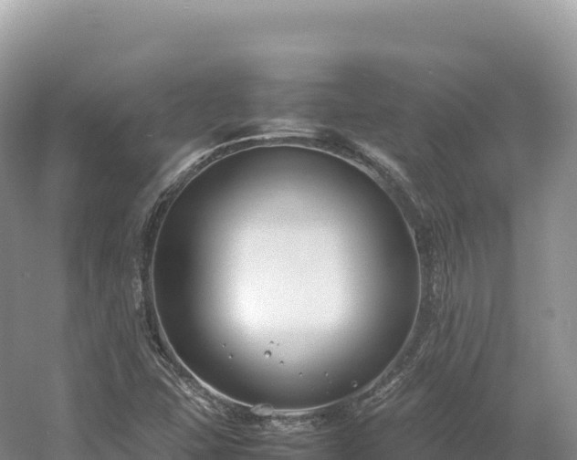 X0000054391407200508051635