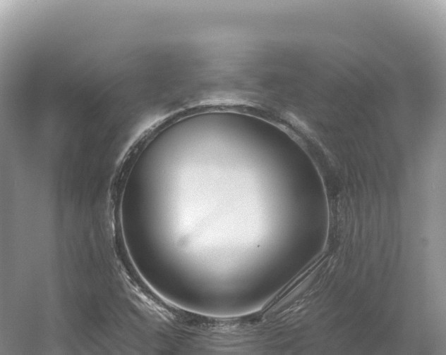 X0000054391408200508051635