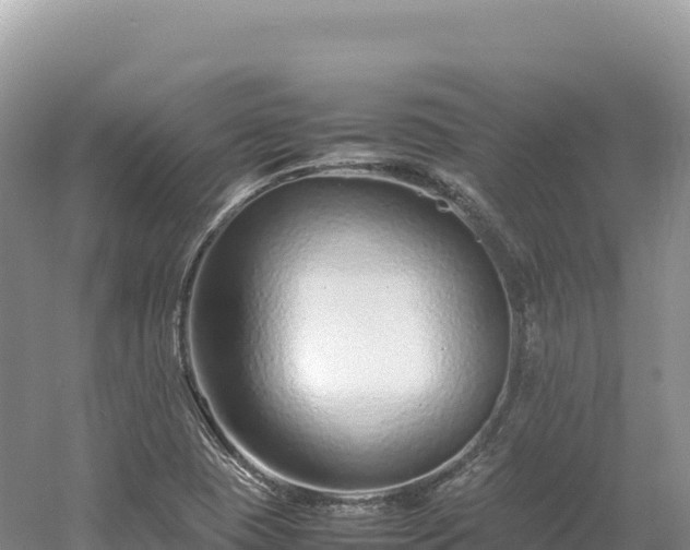 X0000054391409200508051635