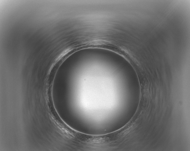 X0000054391410200508051635