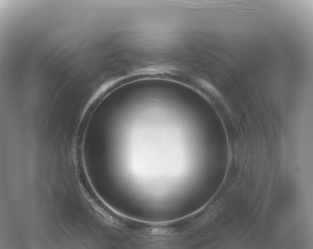 X0000054391412200508051635