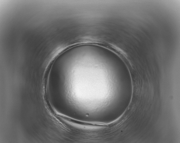 X0000054391415200508051635