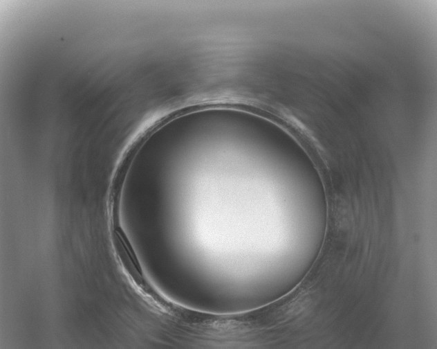 X0000054391416200508051635