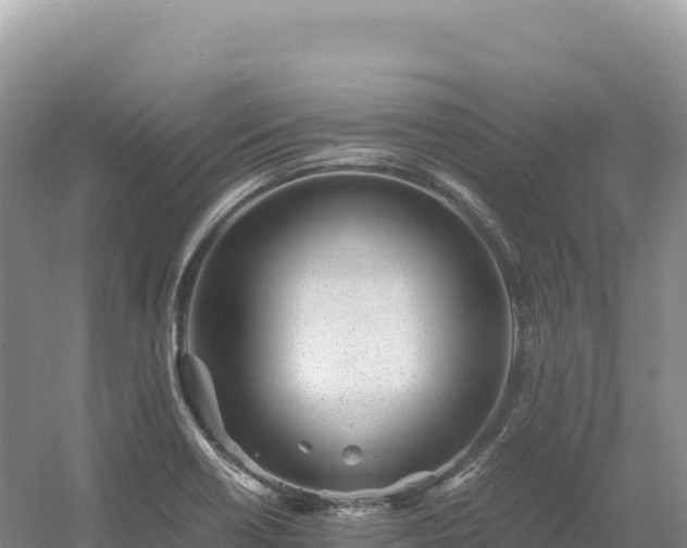 X0000054391418200508051635