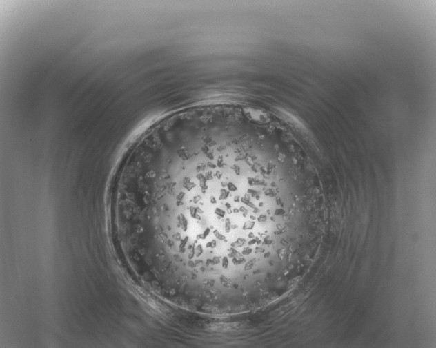 X0000054391419200508051635