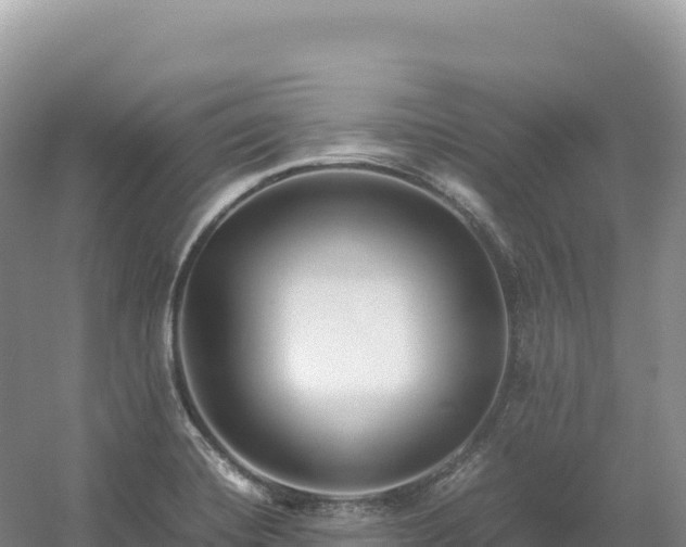 X0000054391420200508051635