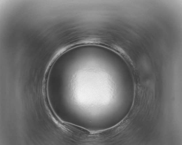 X0000054391421200508051636