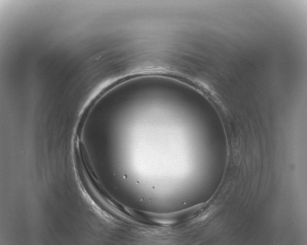 X0000054391422200508051636