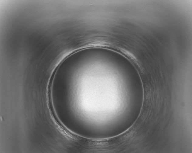 X0000054391423200508051636