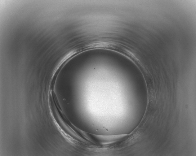 X0000054391426200508051636