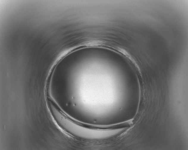 X0000054391429200508051636