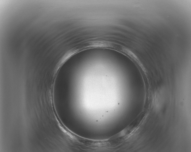 X0000054391433200508051636