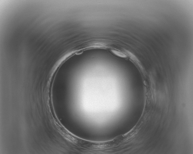 X0000054391435200508051636