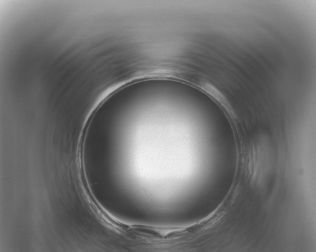 X0000054391436200508051636