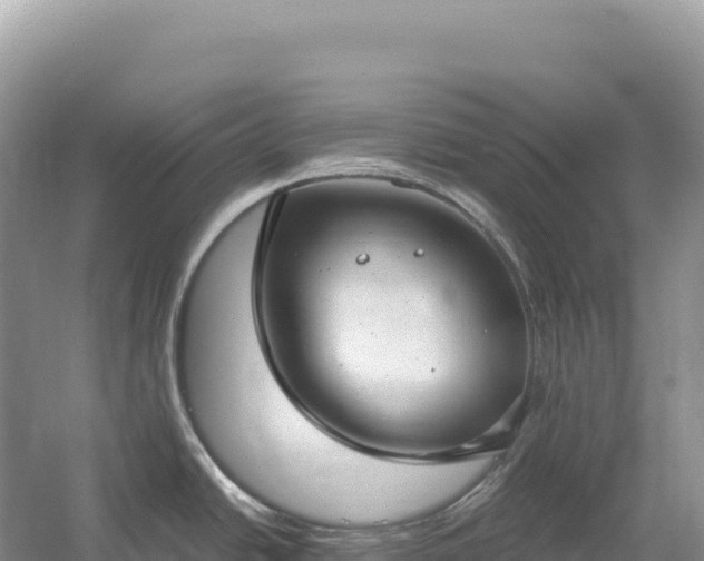 X0000054391438200508051636