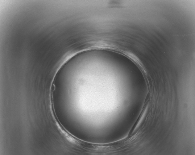 X0000054391439200508051636