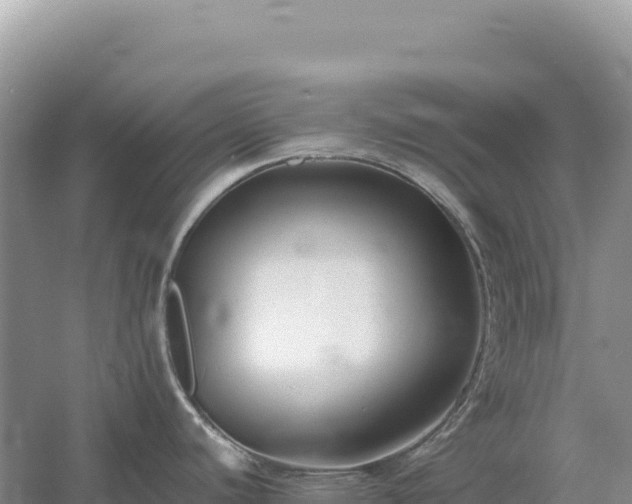 X0000054391440200508051636