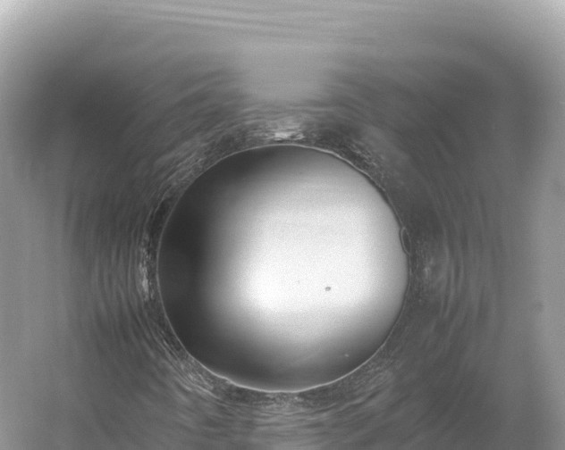 X0000054391442200508051635