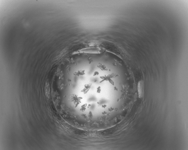 X0000054391443200508051635