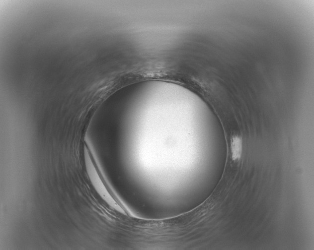 X0000054391444200508051635