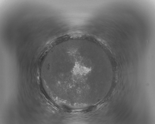 X0000054391445200508051635