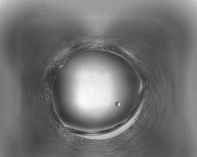 X0000054391447200508051635