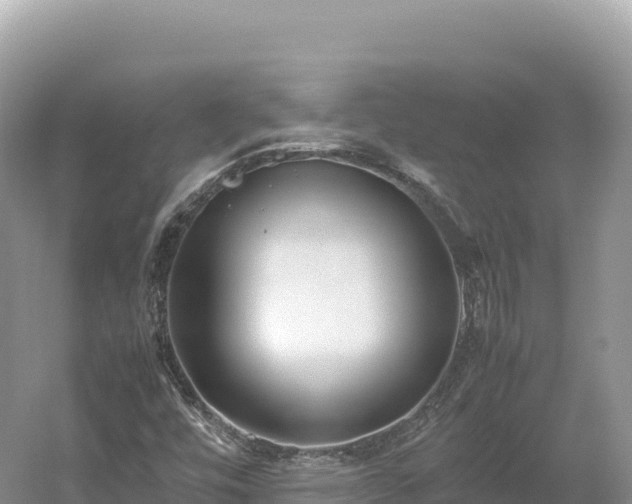 X0000054391448200508051635