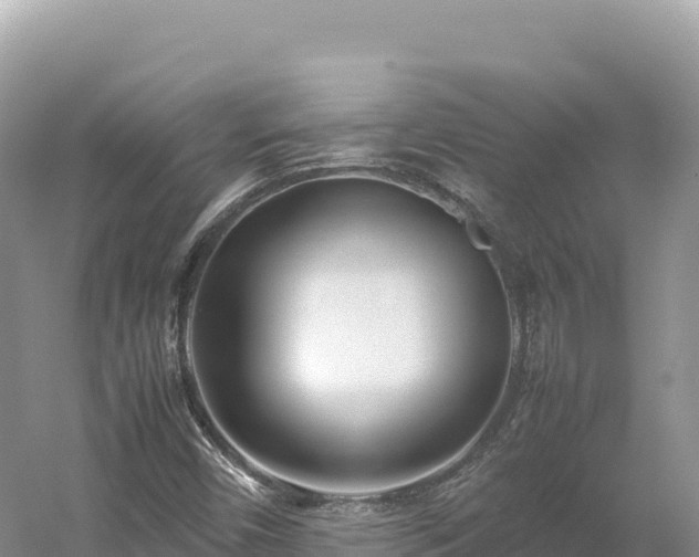 X0000054391450200508051635