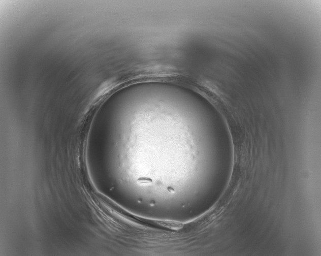 X0000054391451200508051635