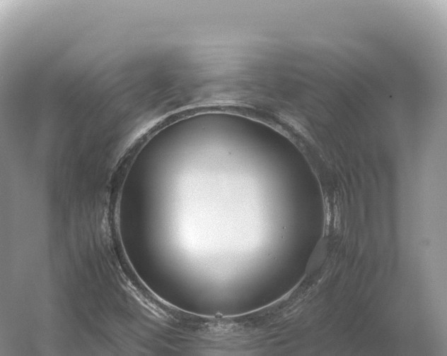 X0000054391452200508051635