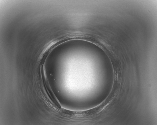 X0000054391453200508051635